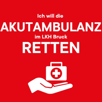 WhatsApp Image 2025-01-31 at 13.46.13